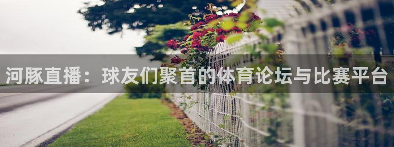51视频在线直播nba：河豚直播：球友们聚首的体育论坛与比赛平台
