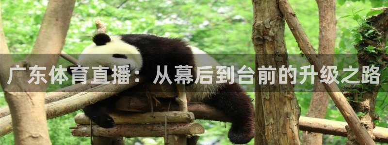 51视频在线直播nba：广东体育直播：从幕后到台前的升级之路