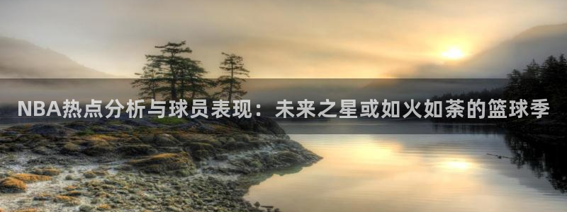 51视频在线直播nba：NBA热点分析与球员表现：未来之星或如火如荼的篮球季
