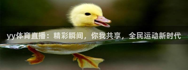 51视频在线直播nba：yy体育直播：精彩瞬间，你我共享，全民运动新时代