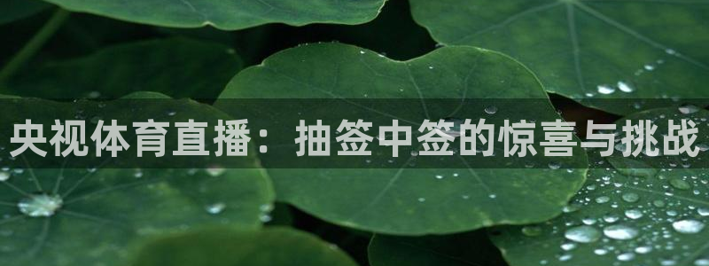 51视频在线直播nba：央视体育直播：抽签中签的惊喜与挑战