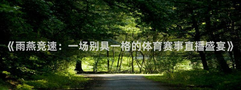 51视频在线直播nba：《雨燕竞速：一场别具一格的体育赛事直播盛宴》