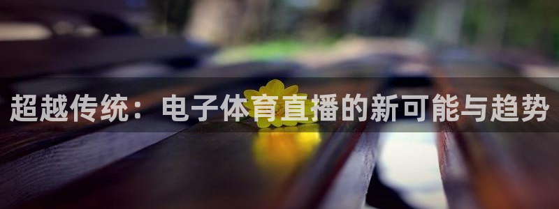 51视频在线直播nba：超越传统：电子体育直播的新可能与趋势